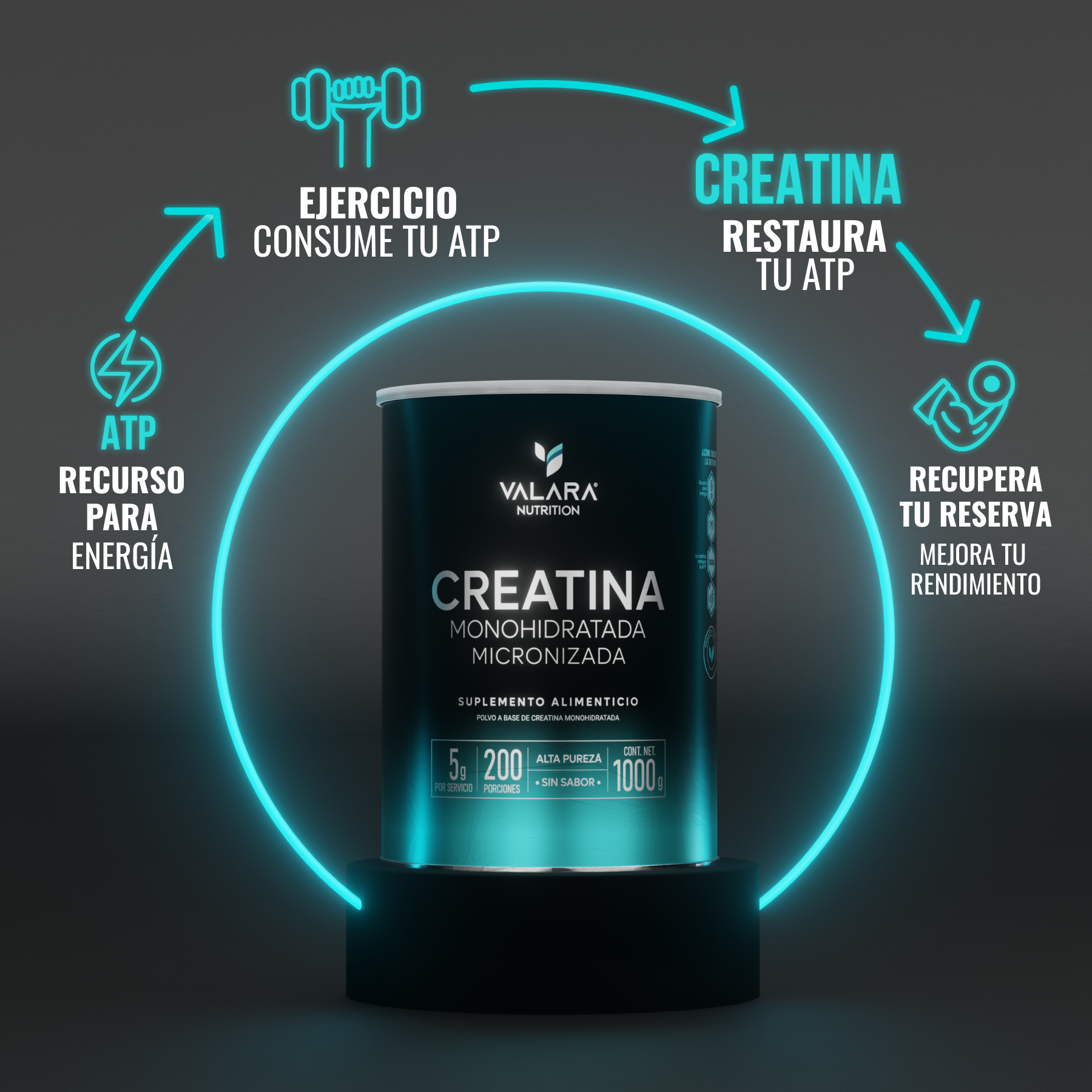 Creatina Monohidratada