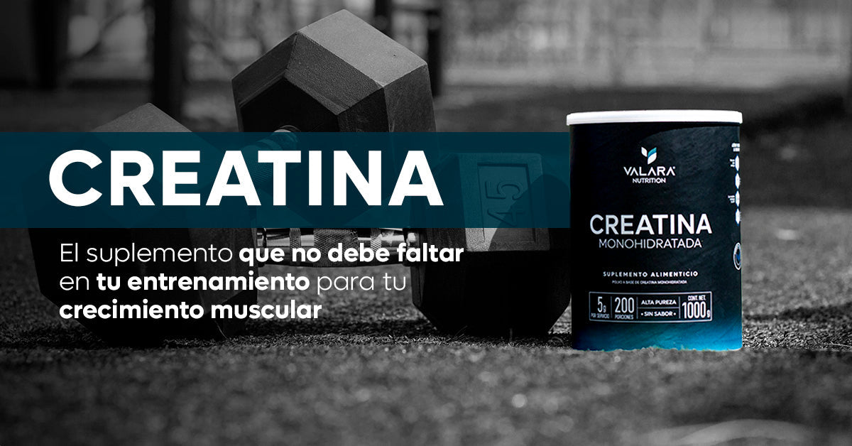 CREATINA MONOHIDRATADA DE 1KG: EL SUPLEMENTO INFALTABLE PARA EL CRECIMIENTO MUSCULAR