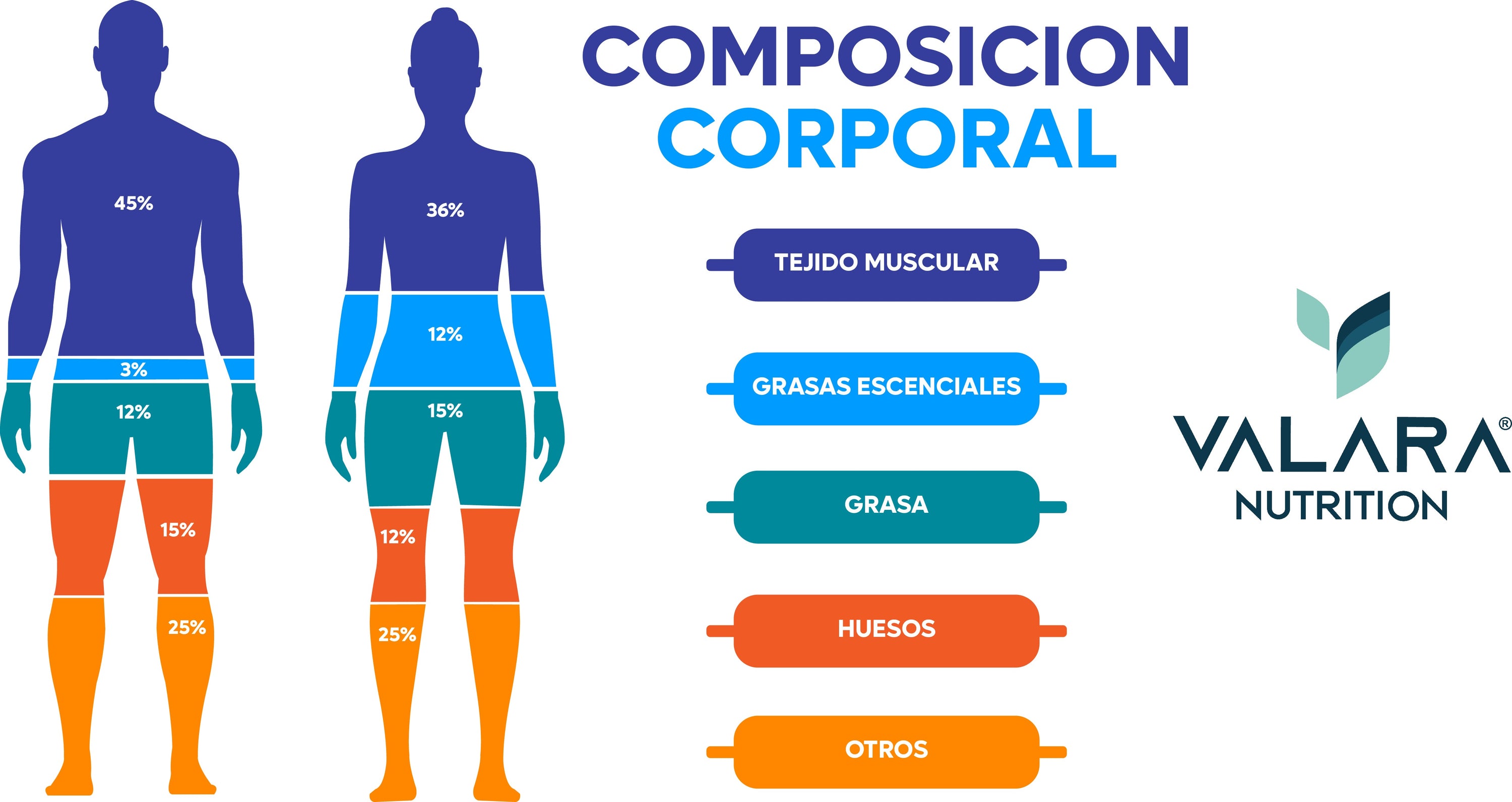 ¿Cómo bajar de peso?