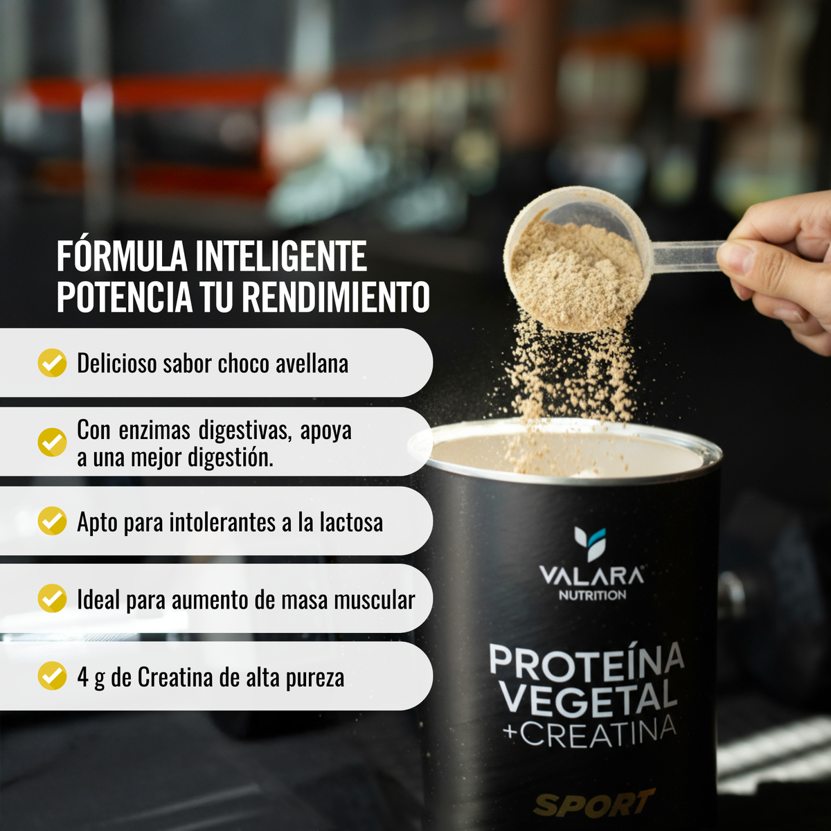 Proteína Sport: Proteína Vegana con Creatina Monohidratada y Magnesio -  1 Kg