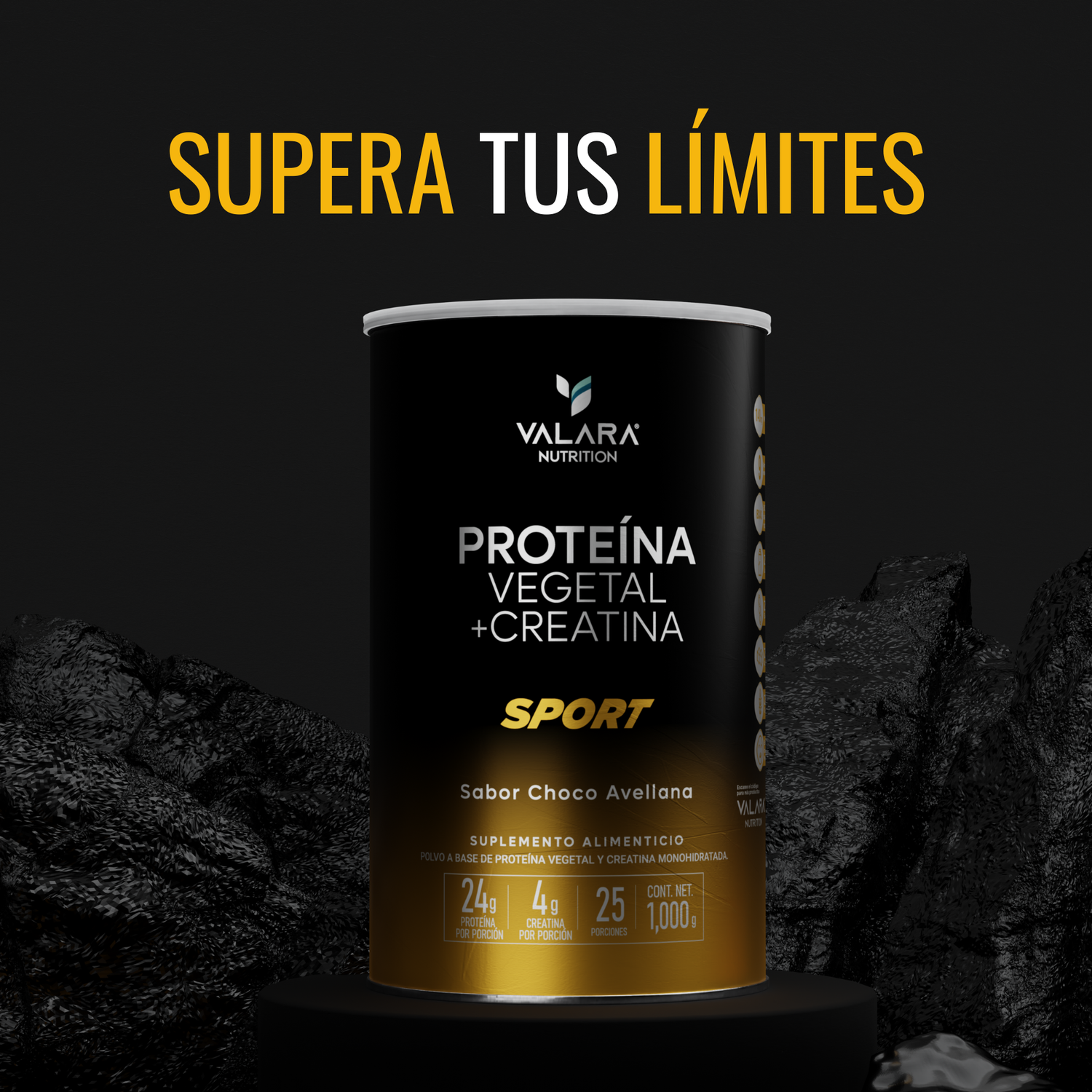 Proteína Sport: Proteína Vegana con Creatina Monohidratada | 1 Kg
