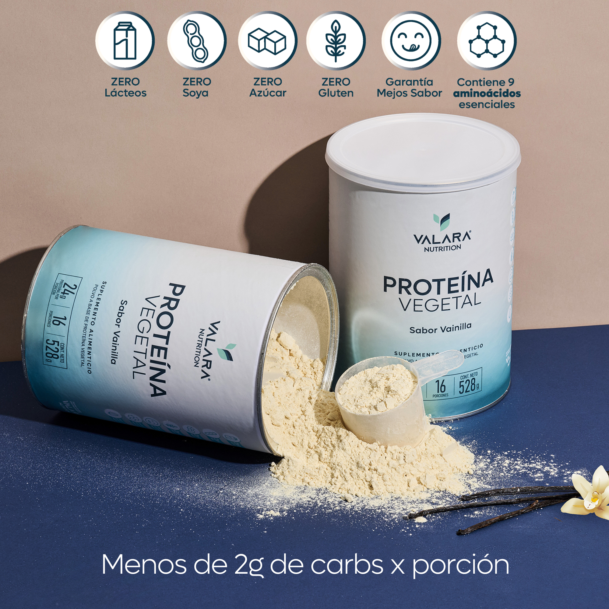 Proteína Vegana sabor Vainilla 528g