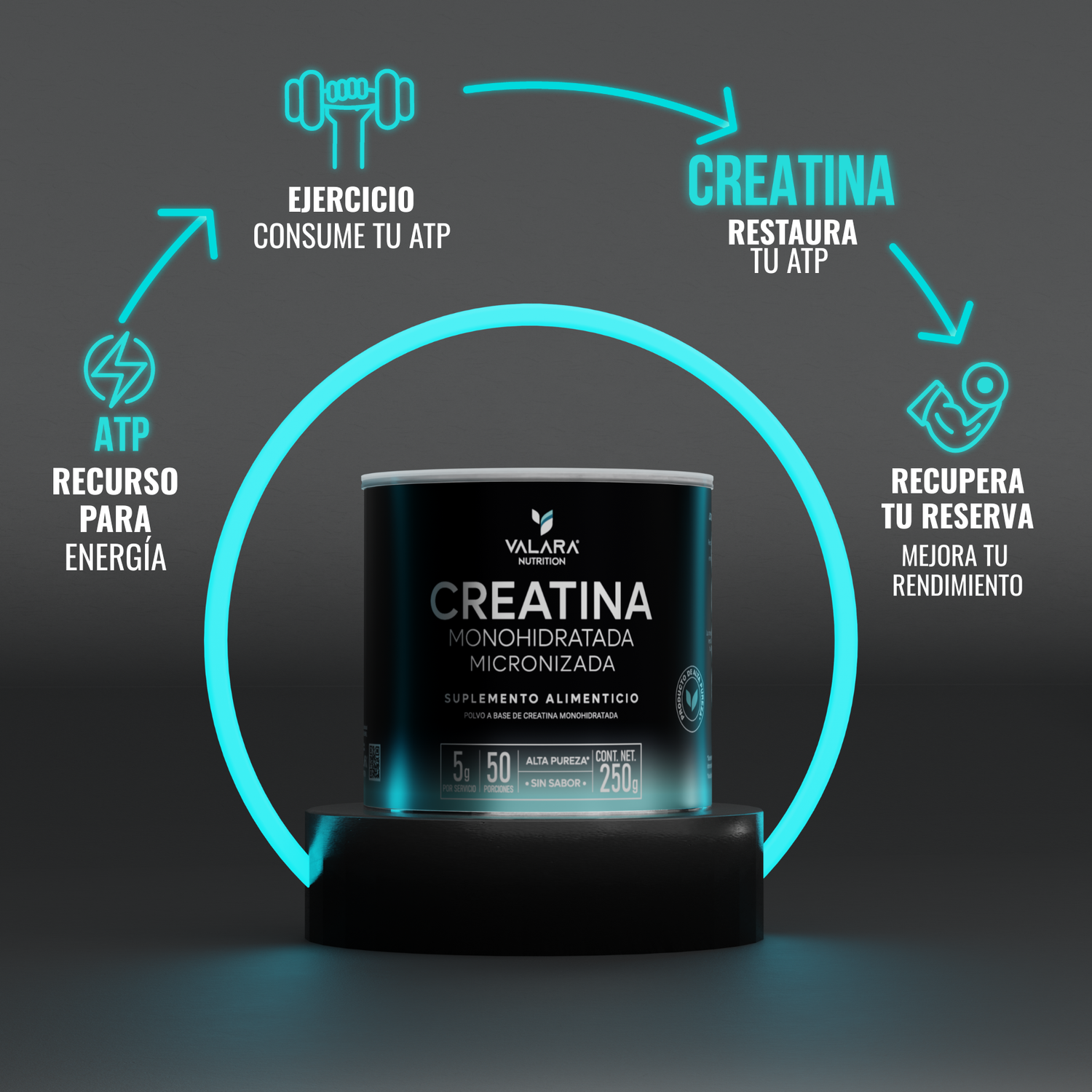 Creatina Monohidratada