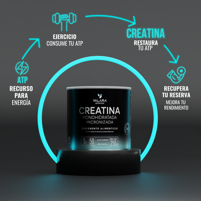 Creatina Monohidratada